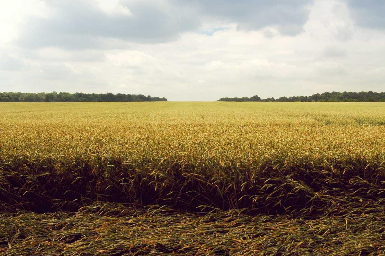 Voluptatem iusto excepturi a odio illo fugit inventore non sed