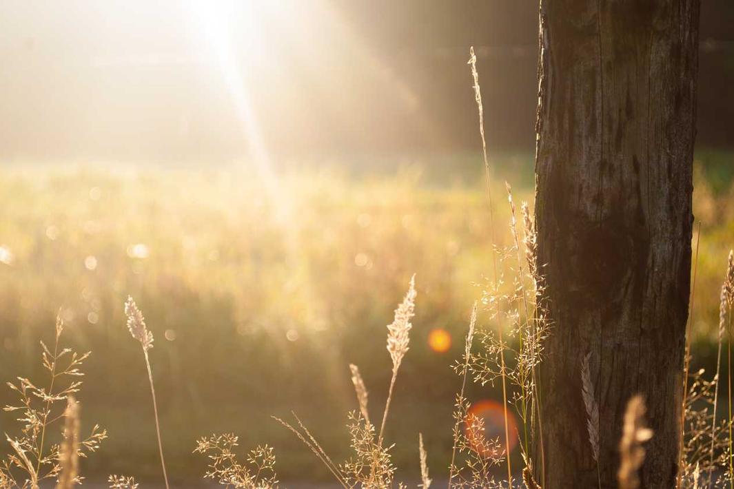 Perspiciatis quisquam doloribus iste tempora possimus qui