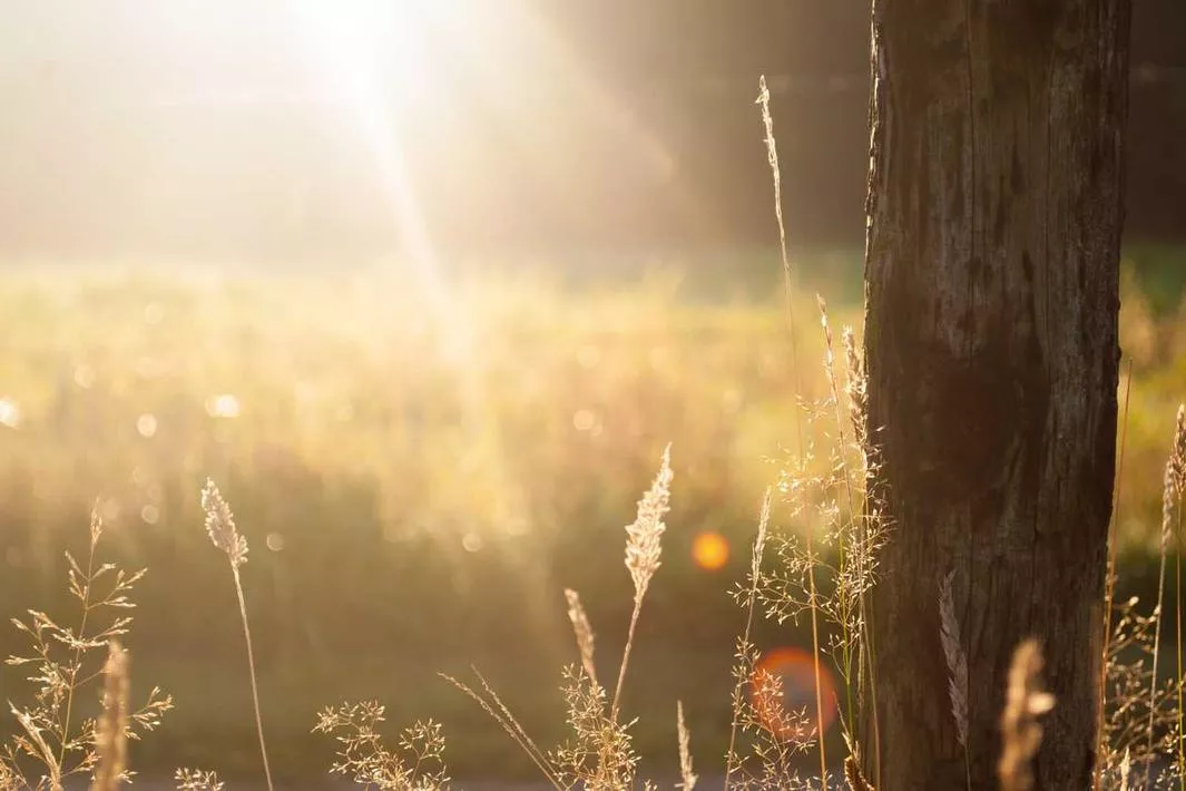 Perspiciatis quisquam doloribus iste tempora possimus qui